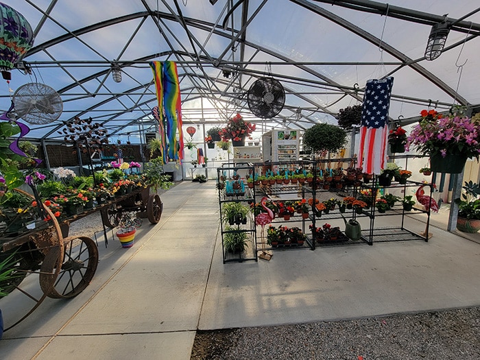 Potted Plants for Sale in Hampton Virginia