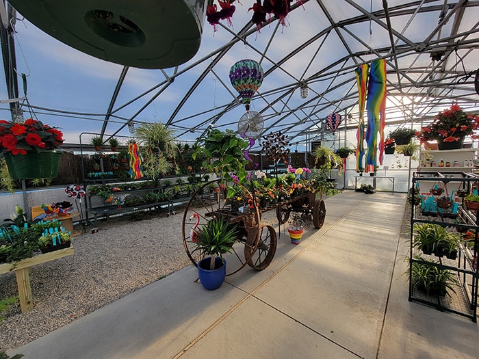 Plants and Flowers for Sale in Hampton Virginia