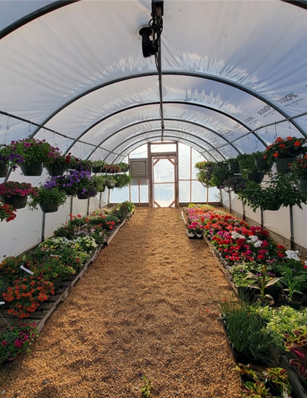 Hampton VA Professional Gardening Tips