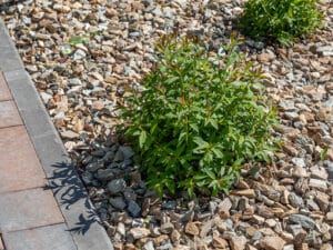 How Gravel Solves Standing Water Problems in Your Yard - Why Gravel Not Suitable For Water Features