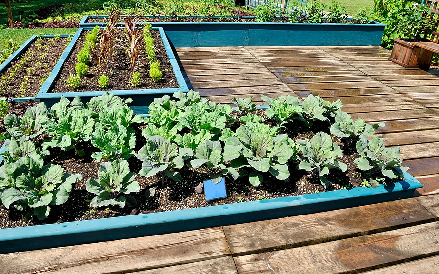 Spruce up Your Garden this Summer with Mercury Mulch