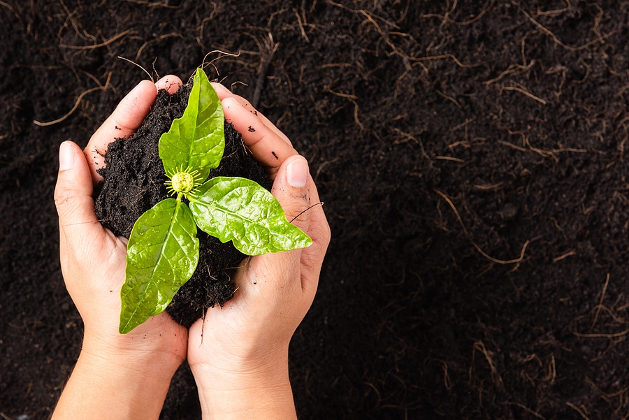 6 Tips for Maintaining Nutrient-Rich Soil in Winter