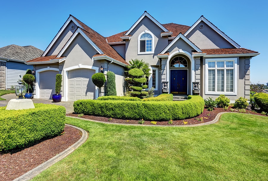 5 Affordable Landscape Upgrades to Make This May